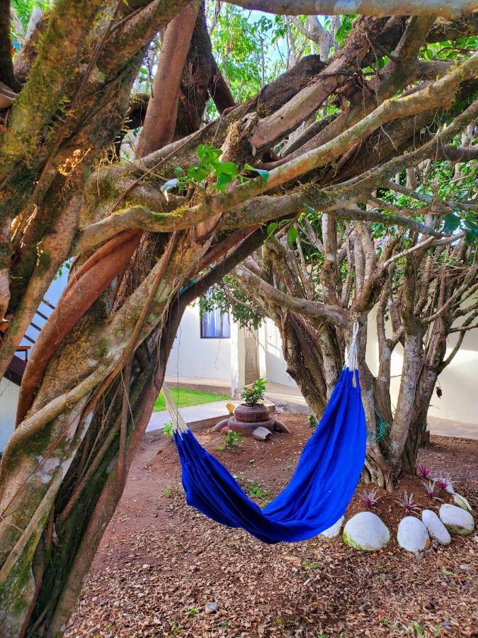 Casa Blanca Hortencia Sucua Εξωτερικό φωτογραφία
